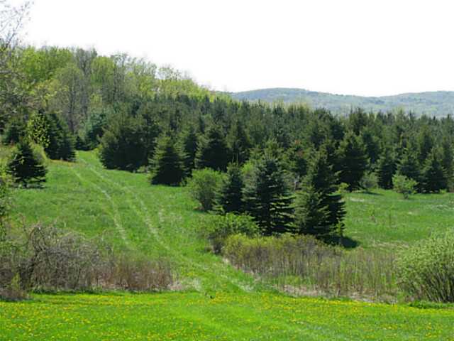 4438 Kear Road Bristol, NY 14424 - Photo 1 of 1 Land. View of land that includes pines, hardwoods