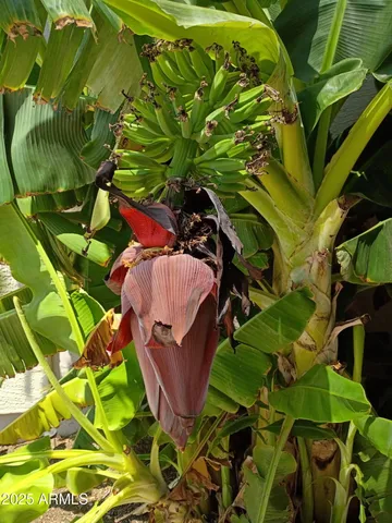 a bathroom with a granite countertop sink and a washing machine