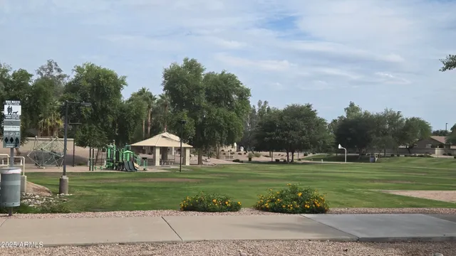 a view of a park with large trees