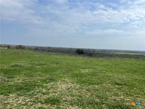 a view of a field with an ocean