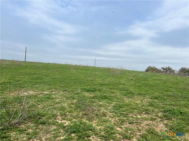 a view of a field with an ocean