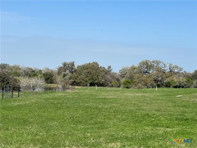 a view of grassy field with trees