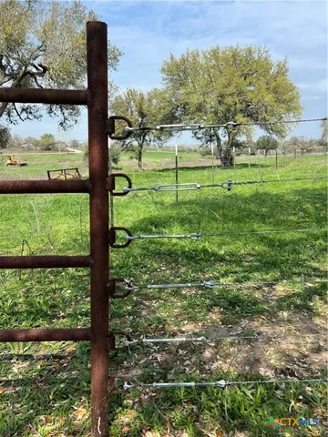 a view of a garden with a tree