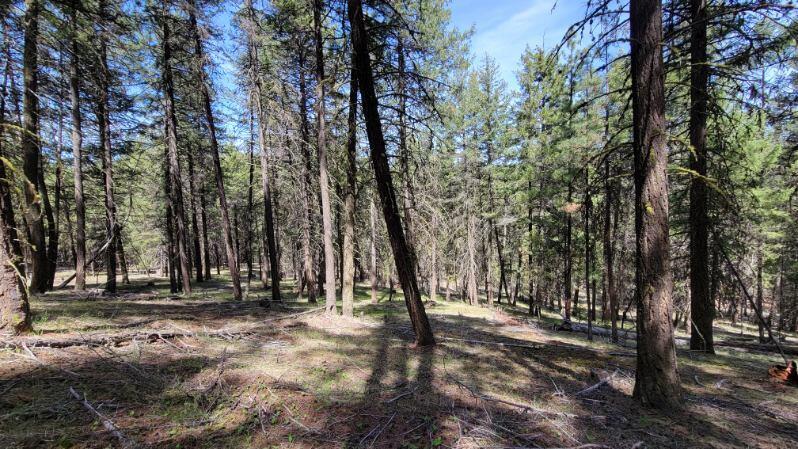 1315 Lofton Creek Road Prineville, OR 97754 - Photo 32 of 61 image000001 (7)