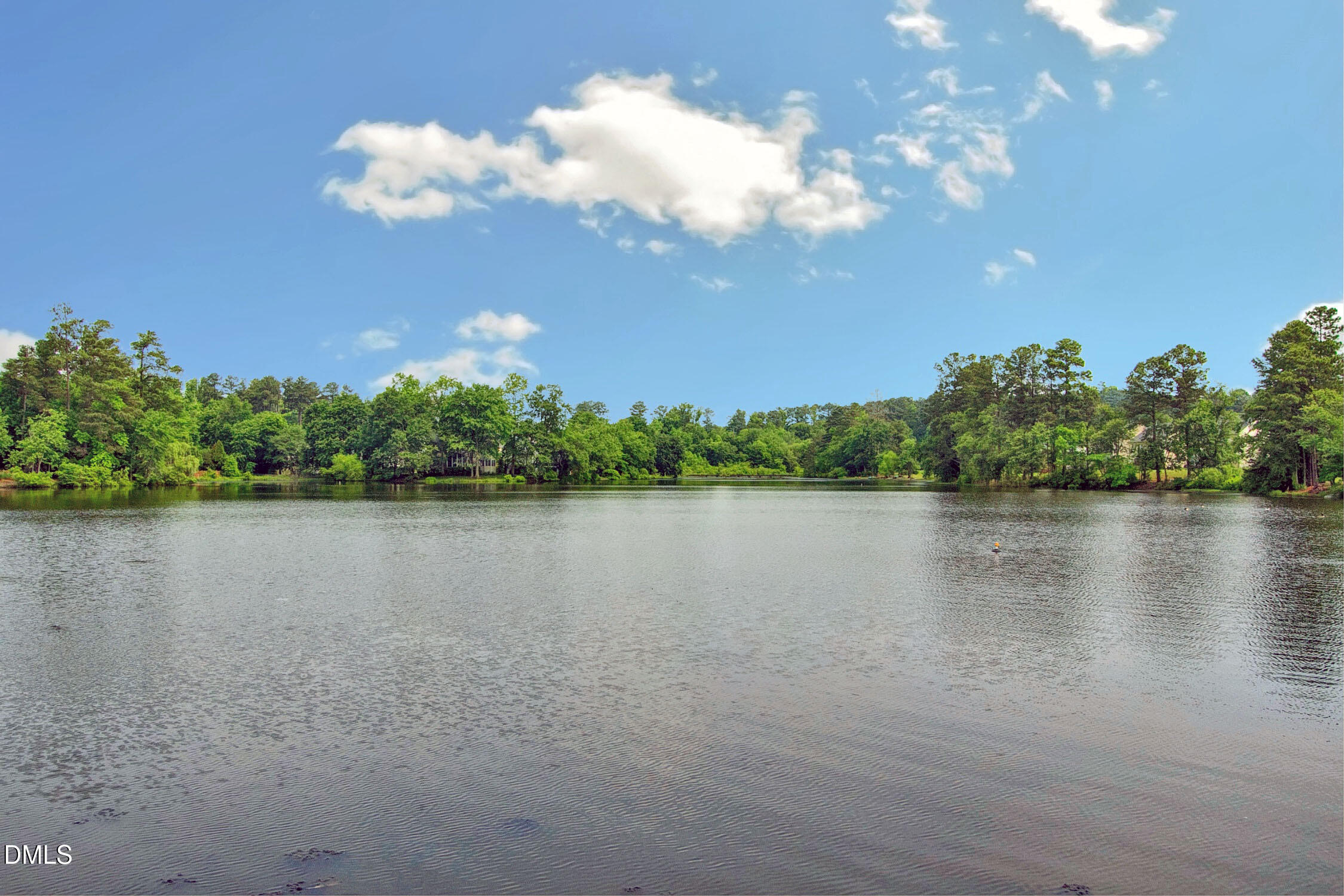 4949 Liverpool Lane Raleigh, NC 27604 - Photo 55 of 59 Lake