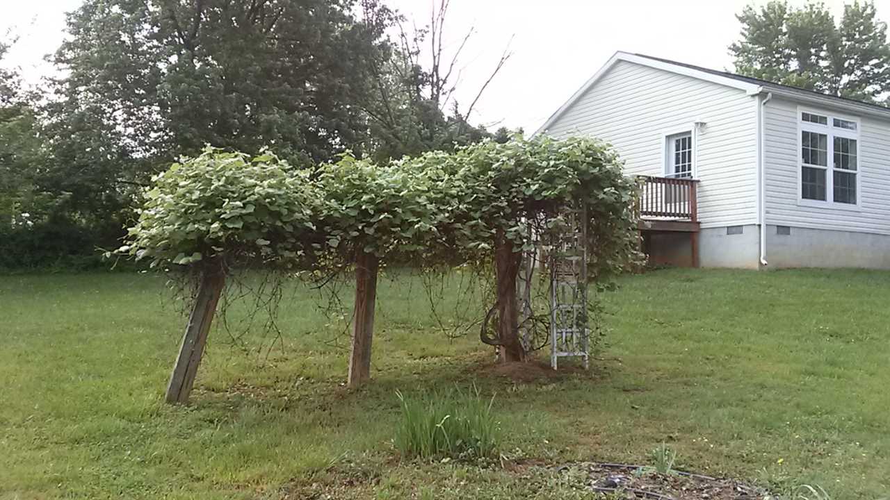 162 Dalhousie Road Waynesboro, VA 22980 - Photo 7 of 28 Gallery Image 7