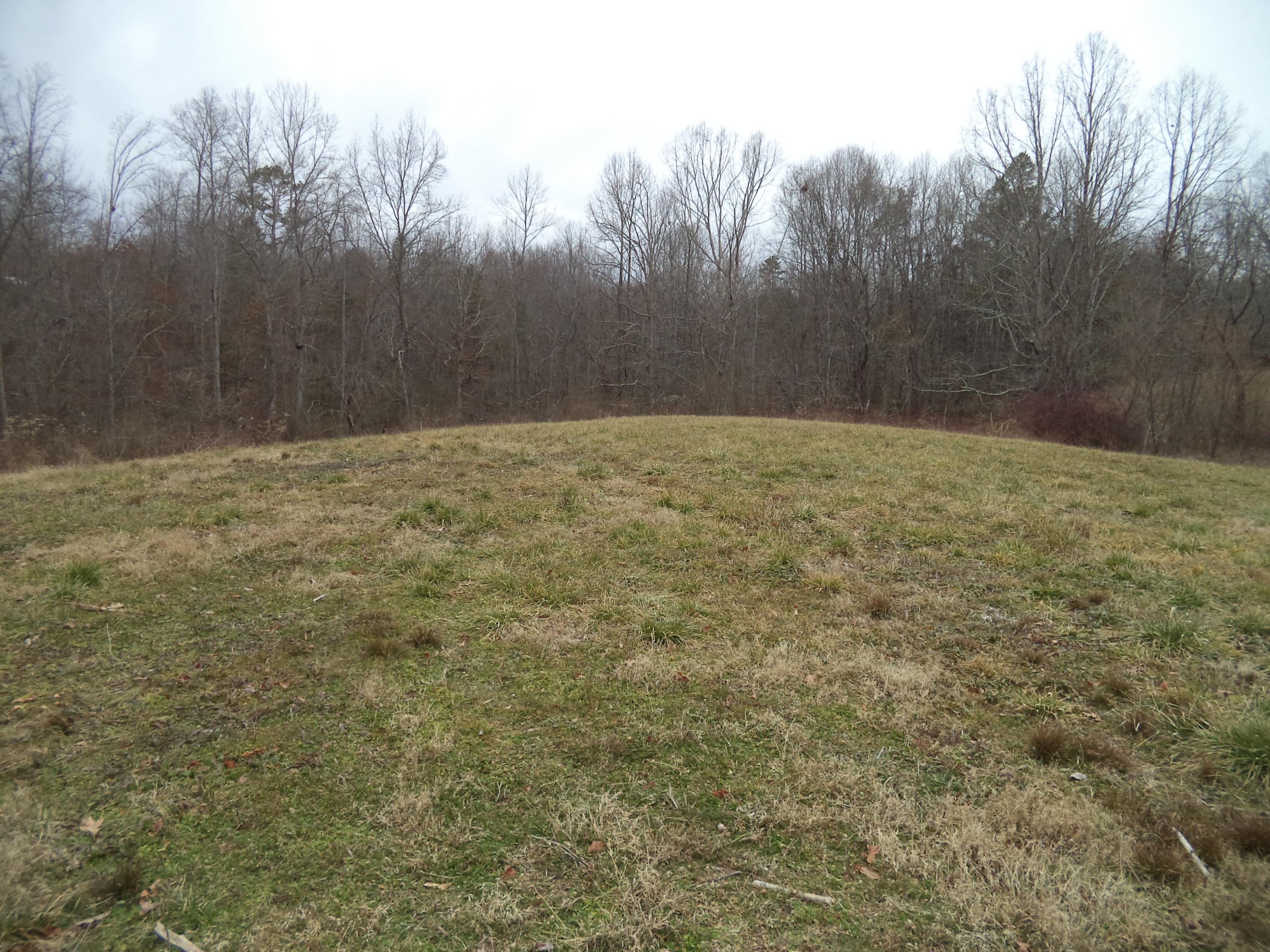 Helenwood Detour Road Oneida, TN 37841 - Photo 2 of 3 DSC04155