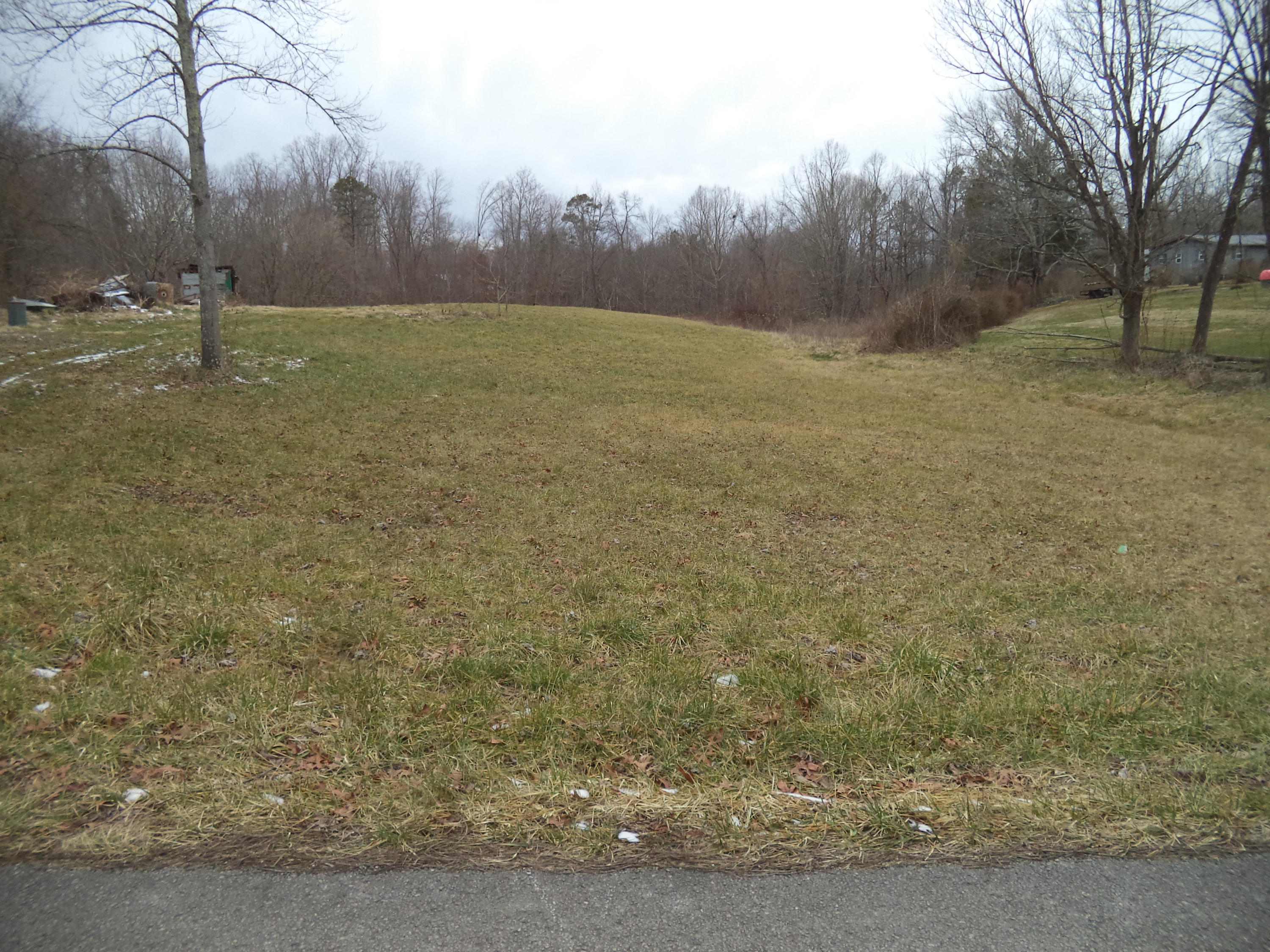 Helenwood Detour Road Oneida, TN 37841 - Photo 3 of 3 DSC04154