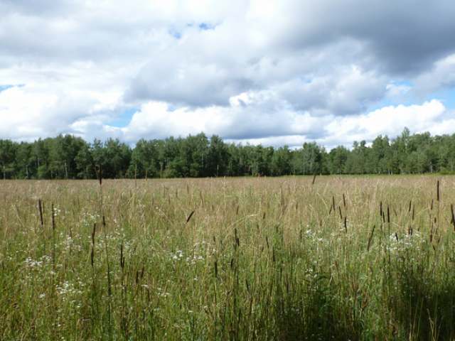 N11764 Hwy 17 Rhinelander Wi 54501 Rhinelander, WI 54501 - Photo 1 of 7 Gallery Image 1