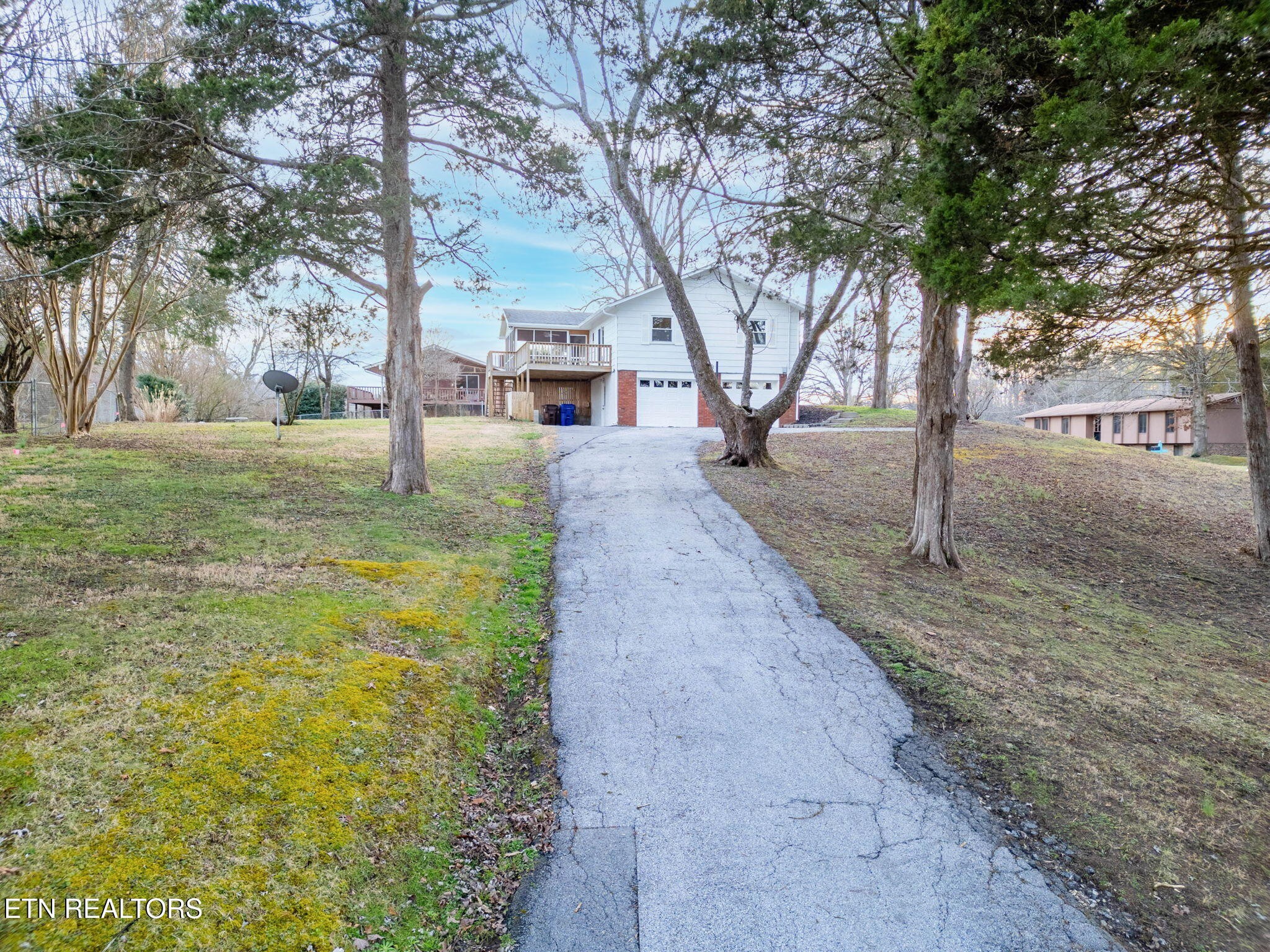 101 Albright Road Oak Ridge, TN 37830 - Photo 5 of 37 a view of a yard with trees