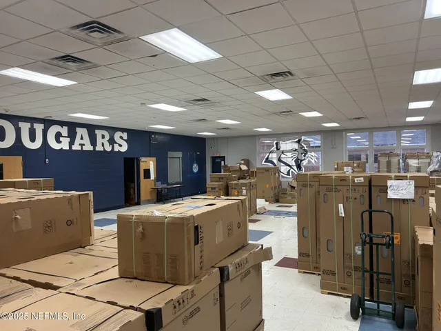 a living room with a couch and a potted plant