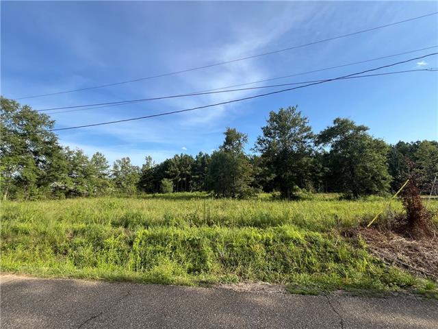 31070 Hubert Stilley Road Independence, LA 70443 - Photo 1 of 3 Gallery Image 1