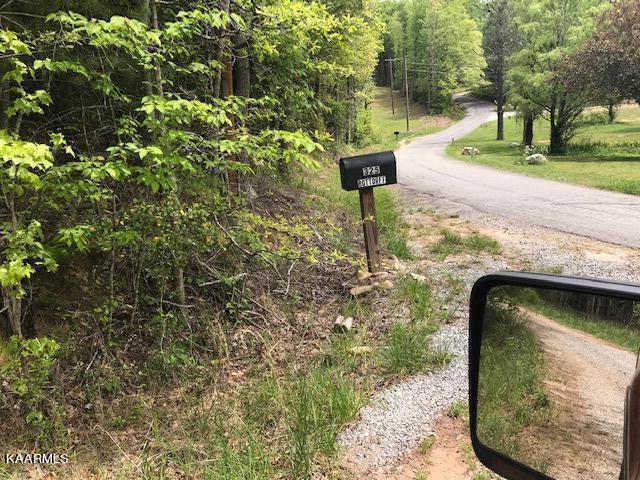 355 Smithfield Road Tellico Plains, TN 37385 - Photo 18 of 18 IMG_4012