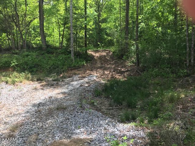 355 Smithfield Road Tellico Plains, TN 37385 - Photo 5 of 18 IMG_3982