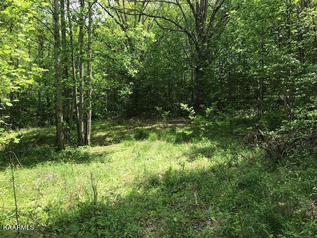 355 Smithfield Road Tellico Plains, TN 37385 - Photo 6 of 18 IMG_3983