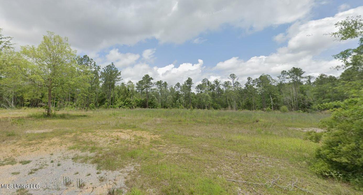 16424 East Adams Road Saucier, MS 39574 - Photo 2 of 2 Pic