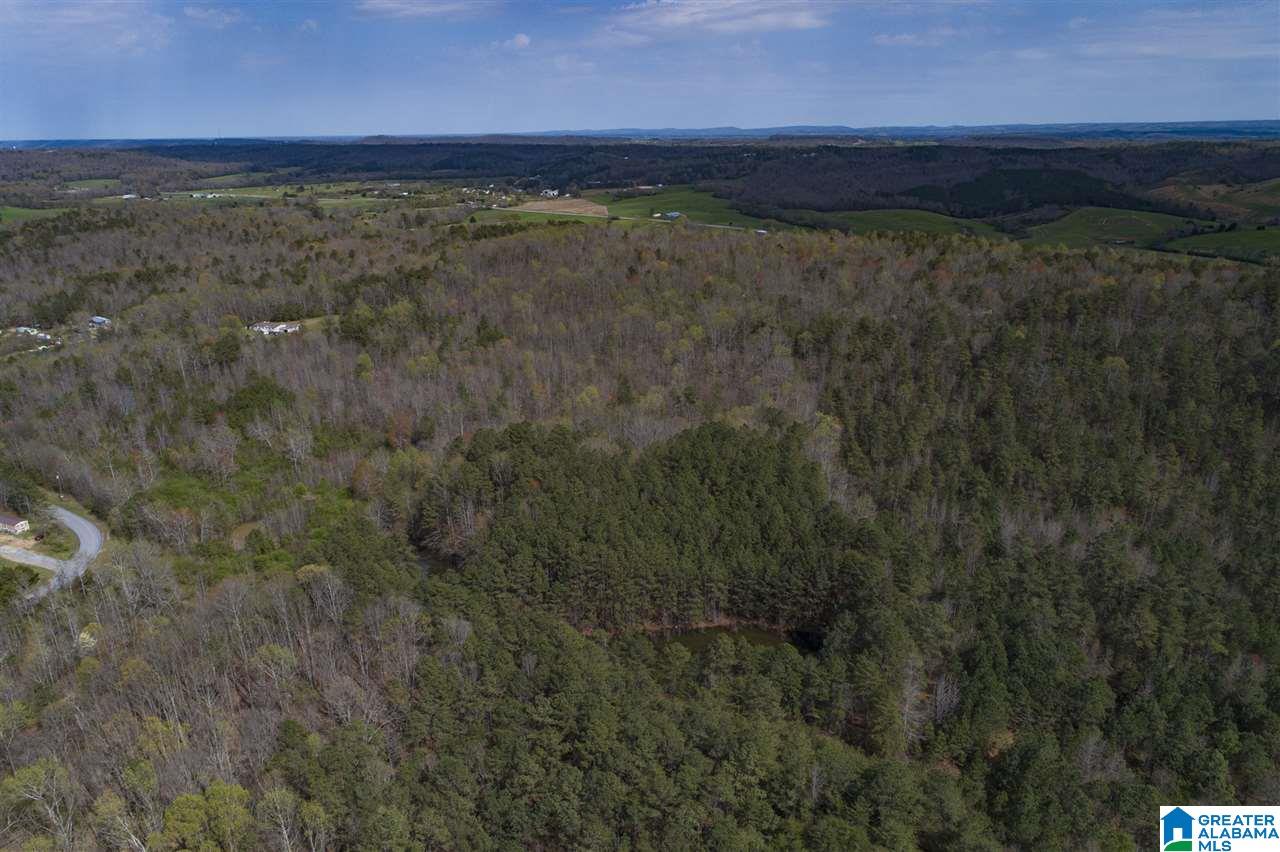 0 Mount Road Blountsville, AL 35031 - Photo 9 of 17