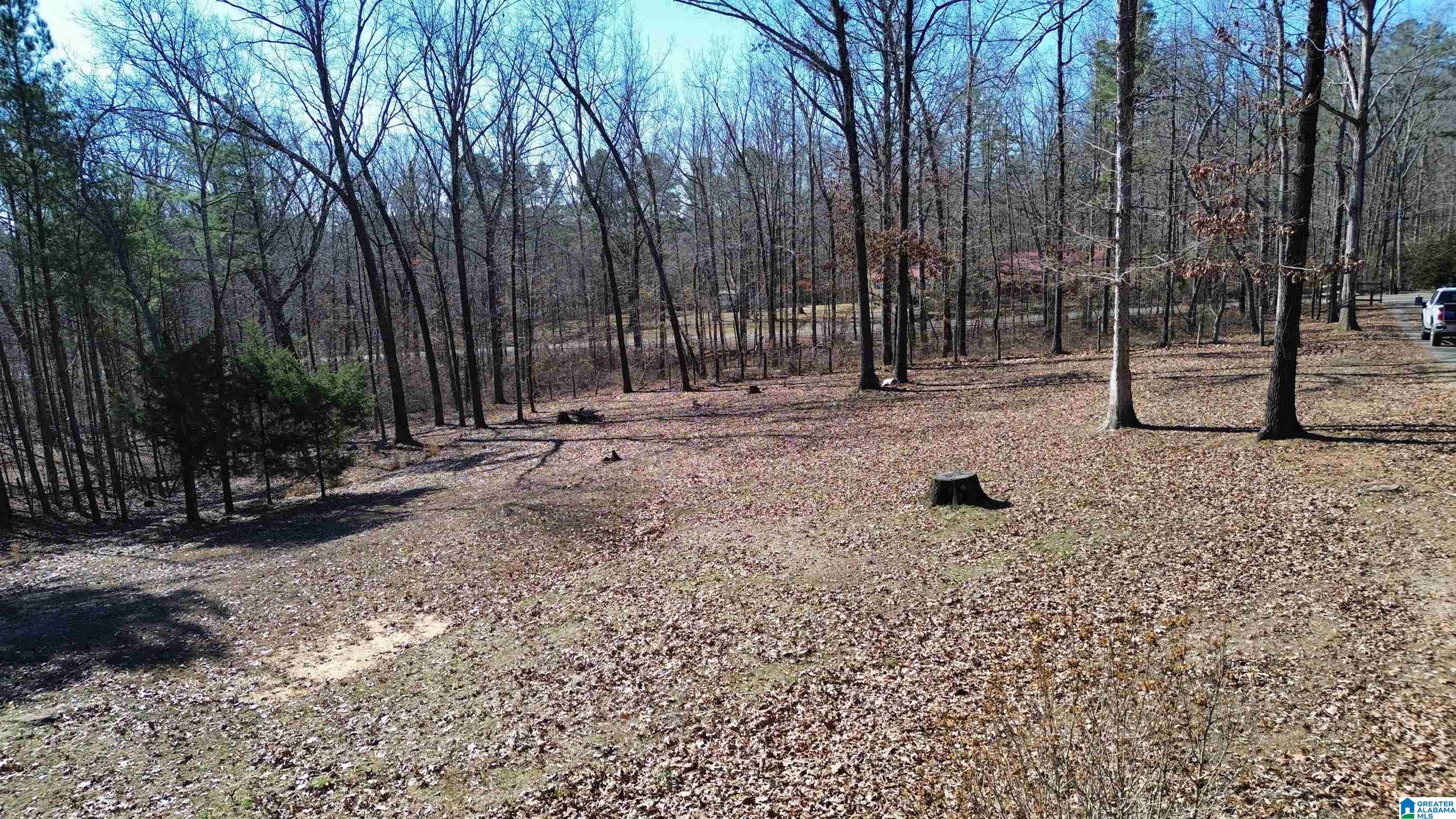 9516 Newell Hill Road Warrior, AL 35180 - Photo 7 of 50 Gallery Image 7