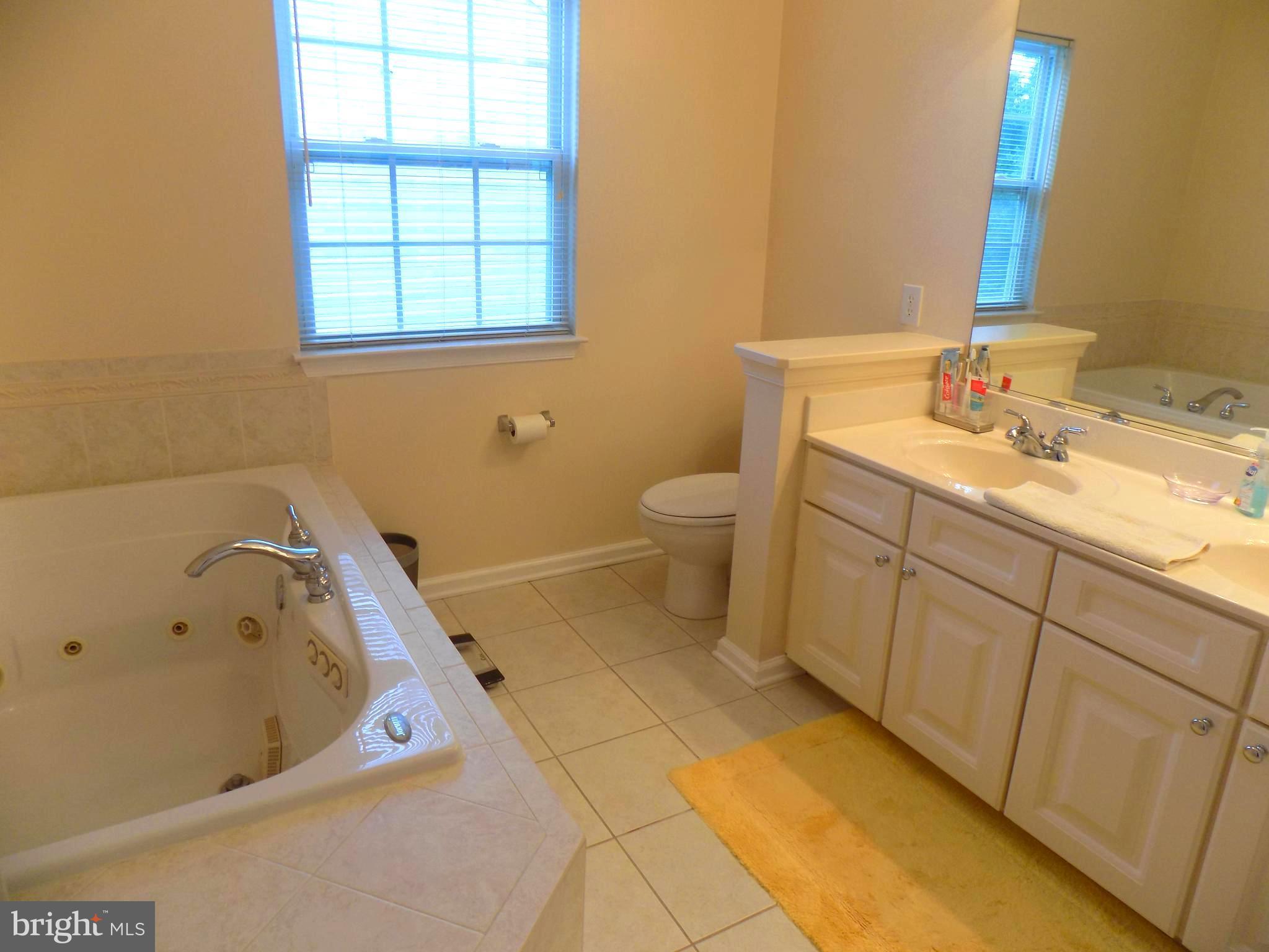 4600 Runnymeade Road Owings Mills, MD 21117 - Photo 18 of 29 Bath (Master)