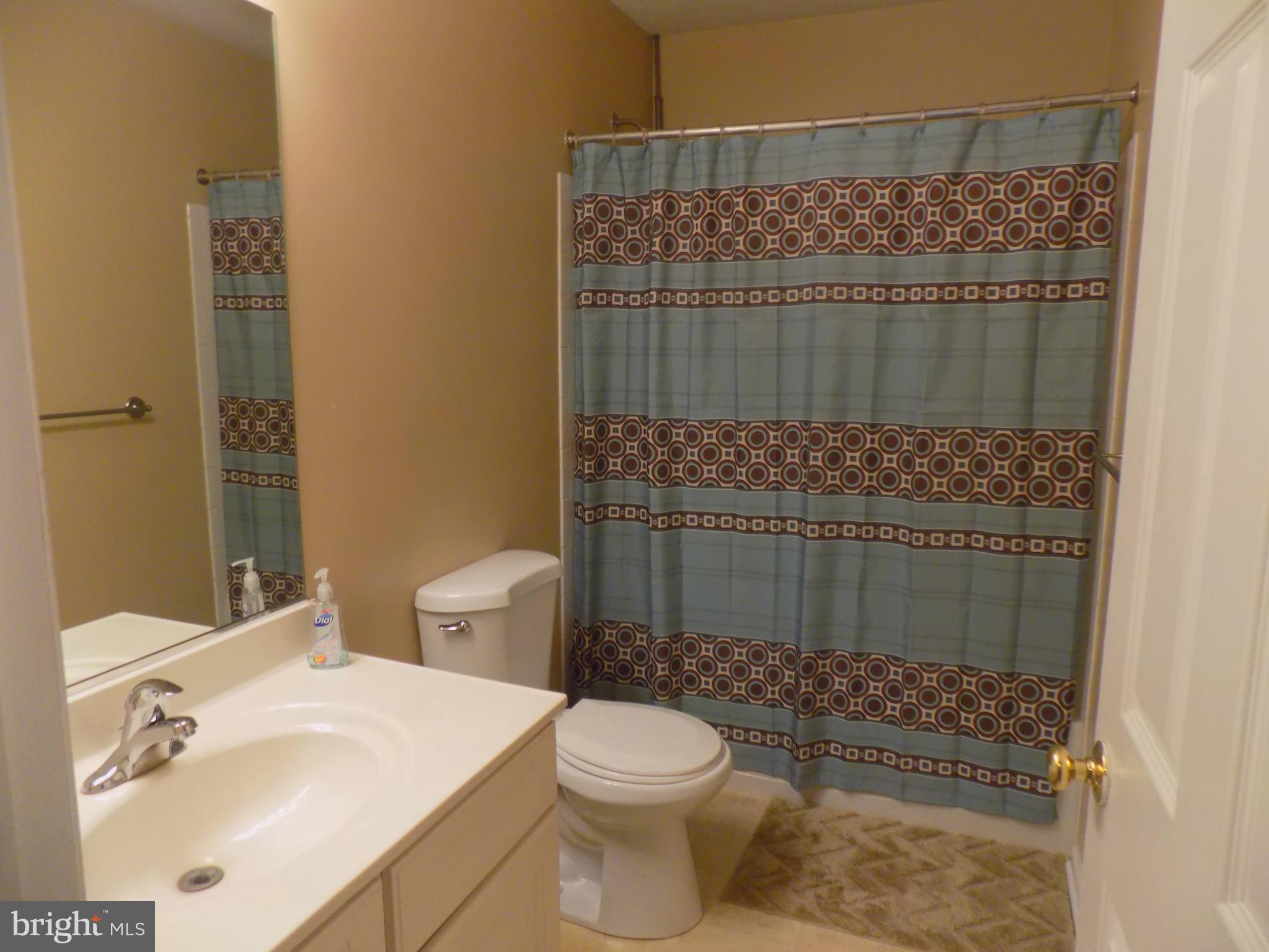 4600 Runnymeade Road Owings Mills, MD 21117 - Photo 22 of 29 Bath