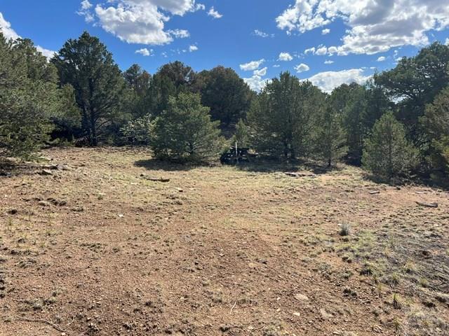 96 River Ridge Trail Walsenburg, CO 81089 - Photo 21 of 28