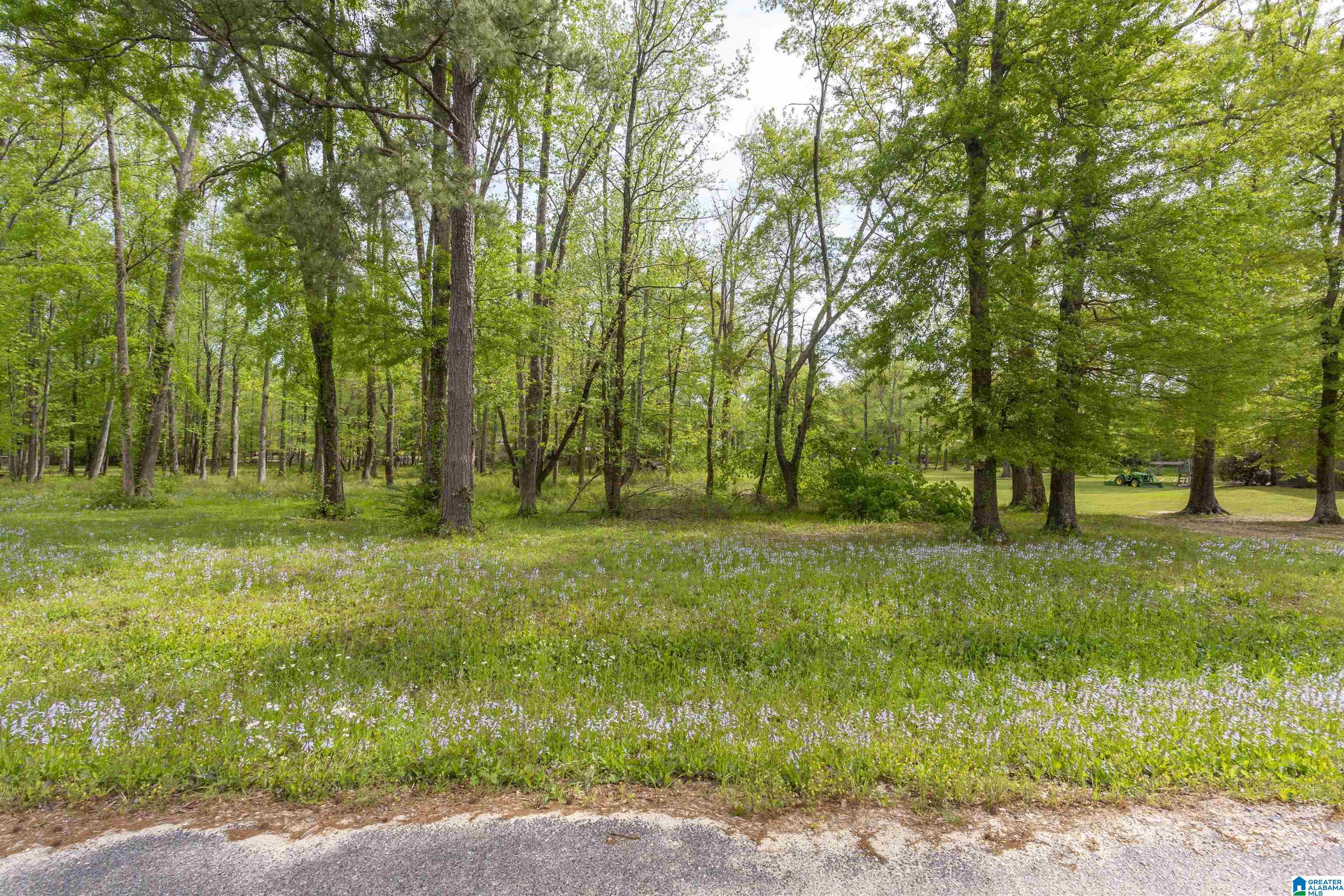 797 County Road Clanton, AL 35045 - Photo 42 of 44