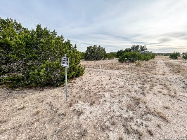 a view of a dry yard with wooden fence