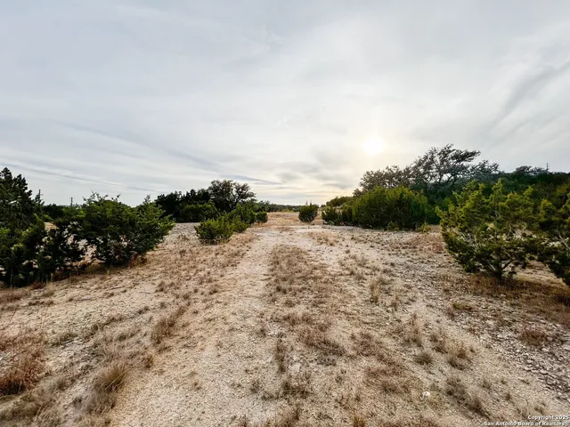 a view of a dry yard with trees
