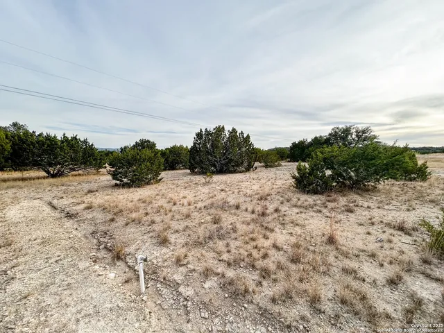 a view of a dry yard with wooden fence