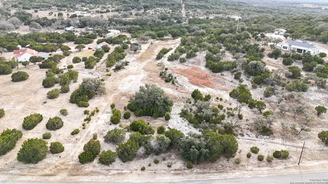 a view of a plant with a yard