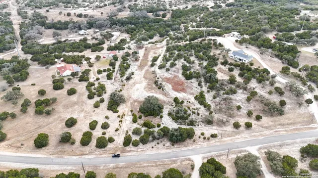 a close up of a plant in a bathroom