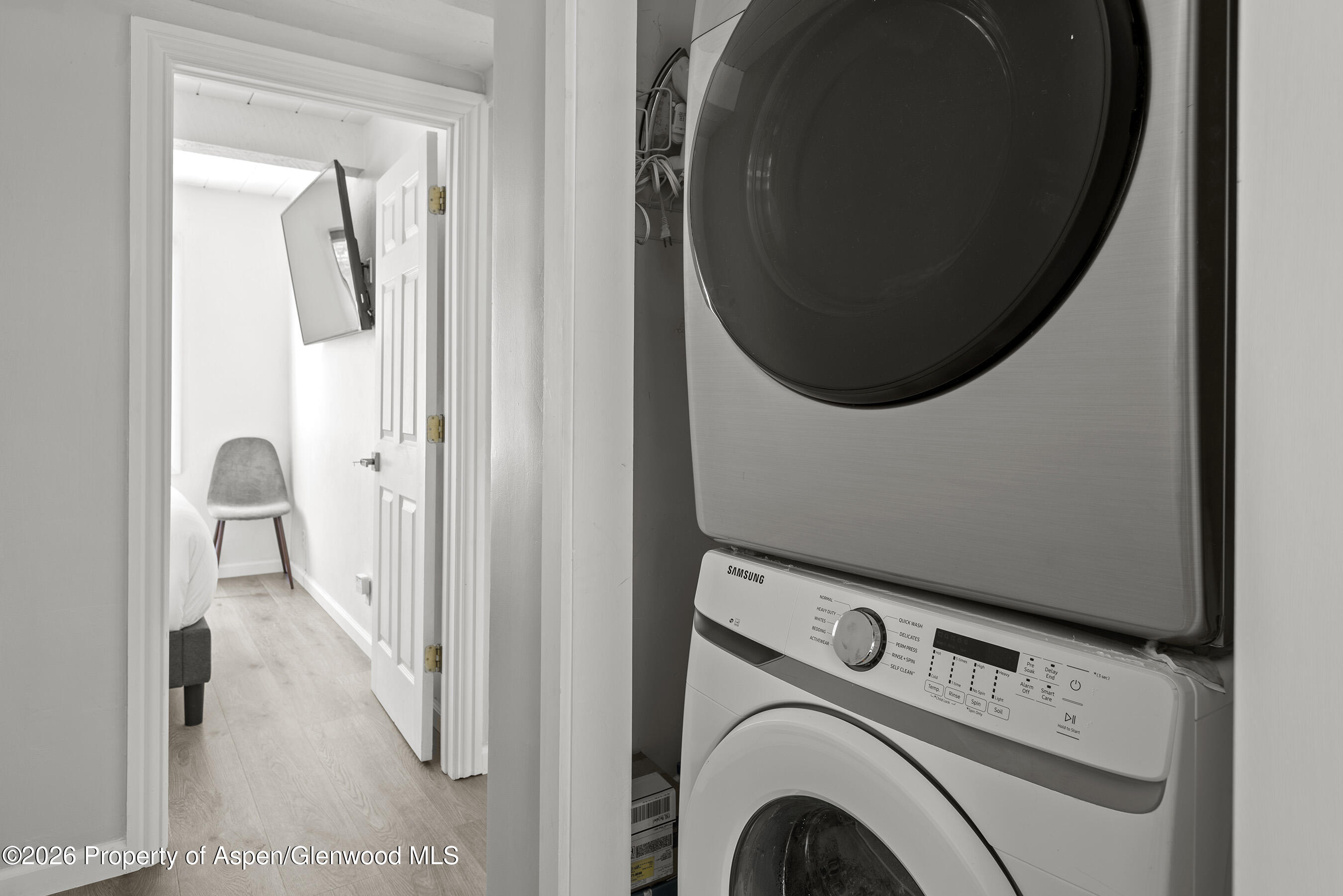 1024 East Cooper Avenue, Unit 2 Aspen, CO 81611 - Photo 24 of 25 Laundry/Hallway