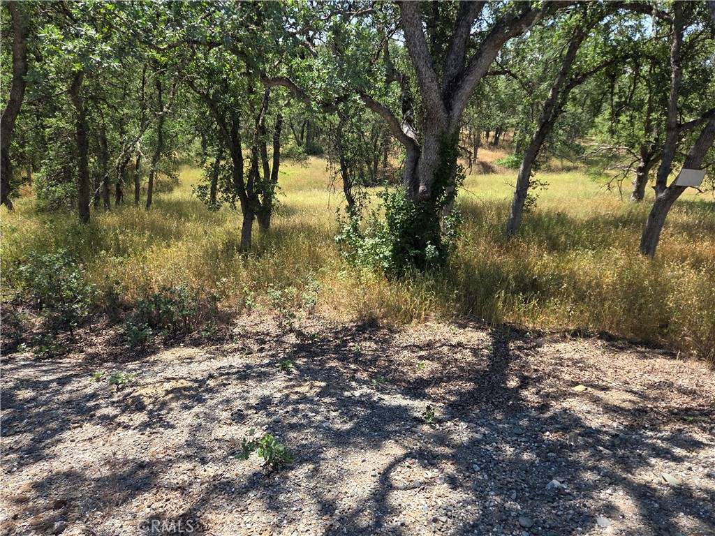 17087 Laramie Point Corning, CA 96021 - Photo 3 of 9