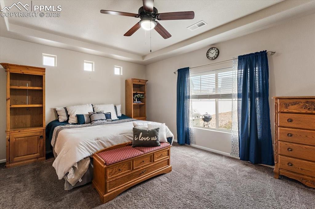 7890 Treehouse Terrace Fountain, CO 80817 - Photo 12 of 31 a bed room with a bed and a window