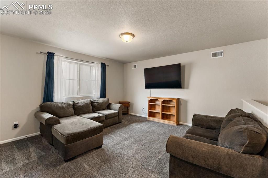 7890 Treehouse Terrace Fountain, CO 80817 - Photo 20 of 31 a living room with furniture and a flat screen tv