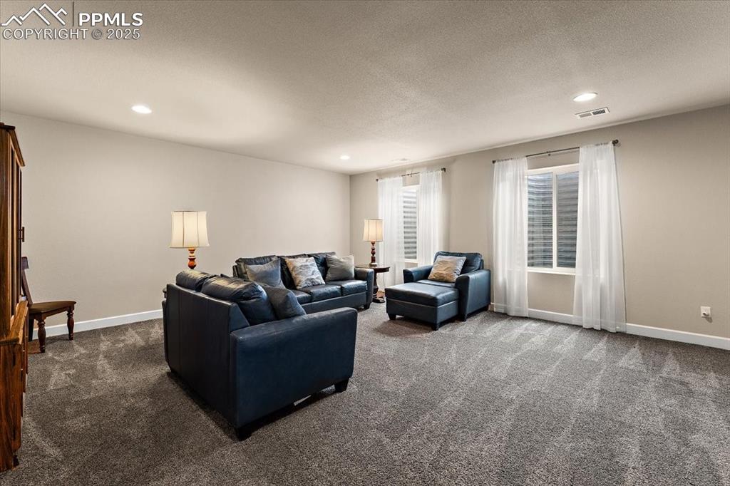 7890 Treehouse Terrace Fountain, CO 80817 - Photo 23 of 31 a living room with furniture and a window