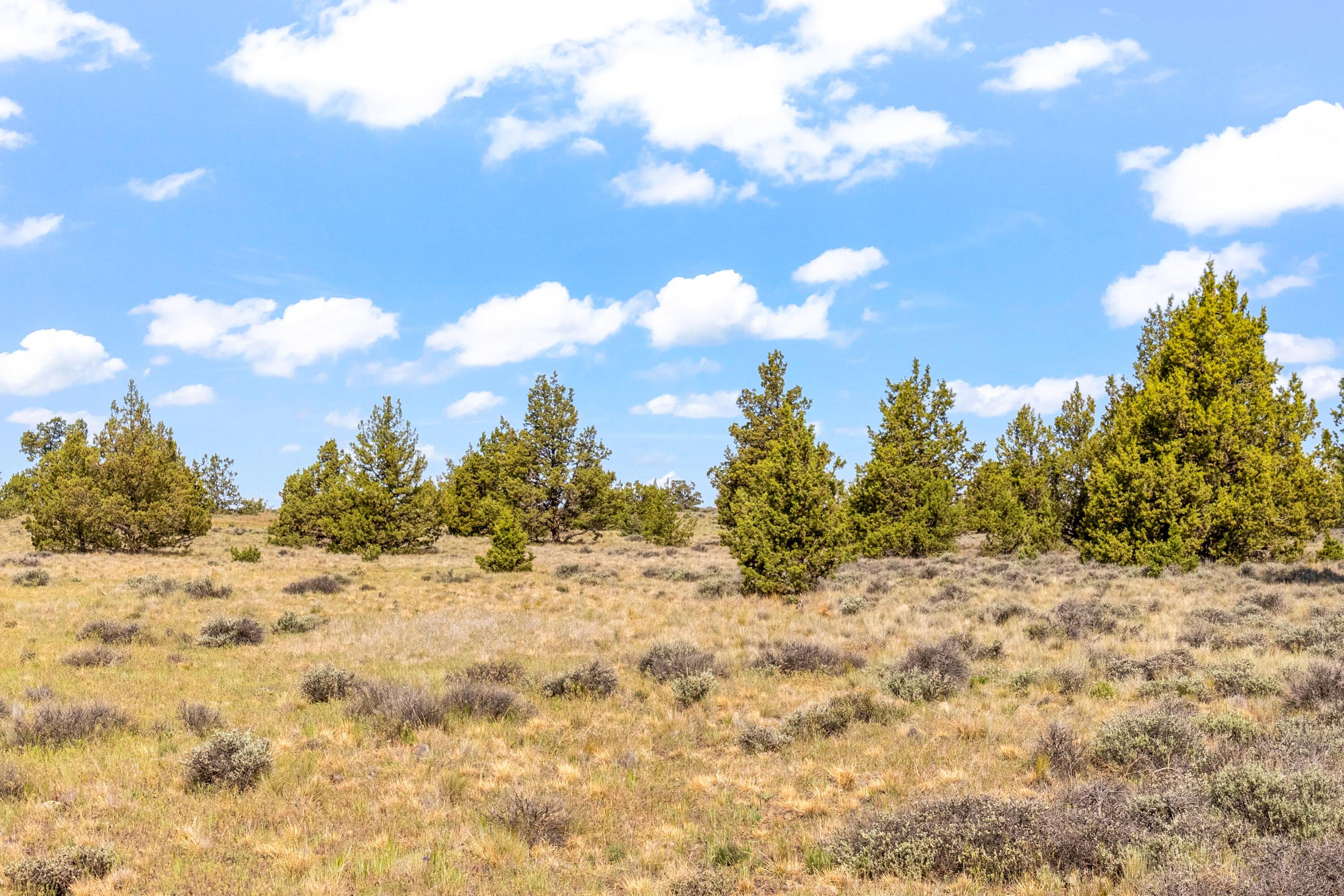 6751 Iowa Road Prineville, OR 97754 - Photo 9 of 15 11