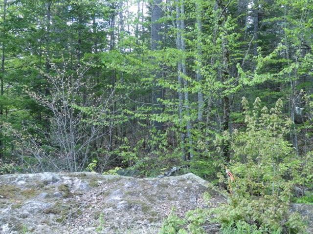 Map 7-lot Map 7-lot Pond Hill Rd Brooks Brooks, ME 04921 - Photo 11 of 15 Pond Hill 2