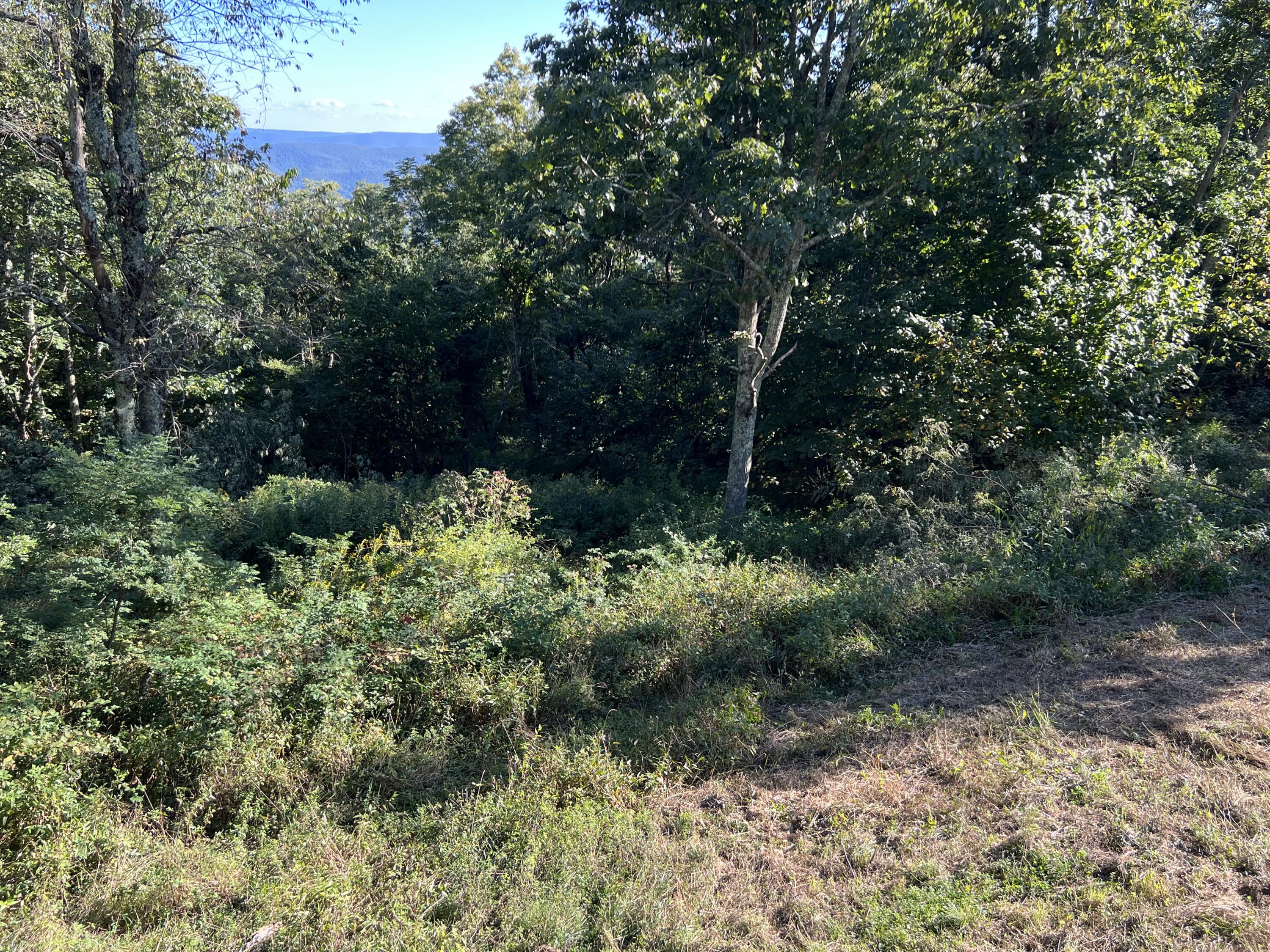 Limestone Hill Road Gap Mills, WV 24941 - Photo 3 of 30 Gallery Image 3