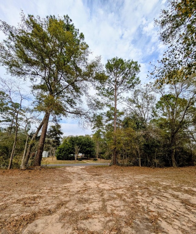 5544 Tall Pine Road Navasota, TX 77868 - Photo 1 of 9 a backyard of a house with lots of green space
