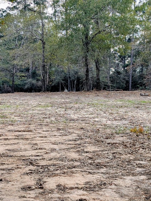 5544 Tall Pine Road Navasota, TX 77868 - Photo 2 of 9 a view of empty room with trees