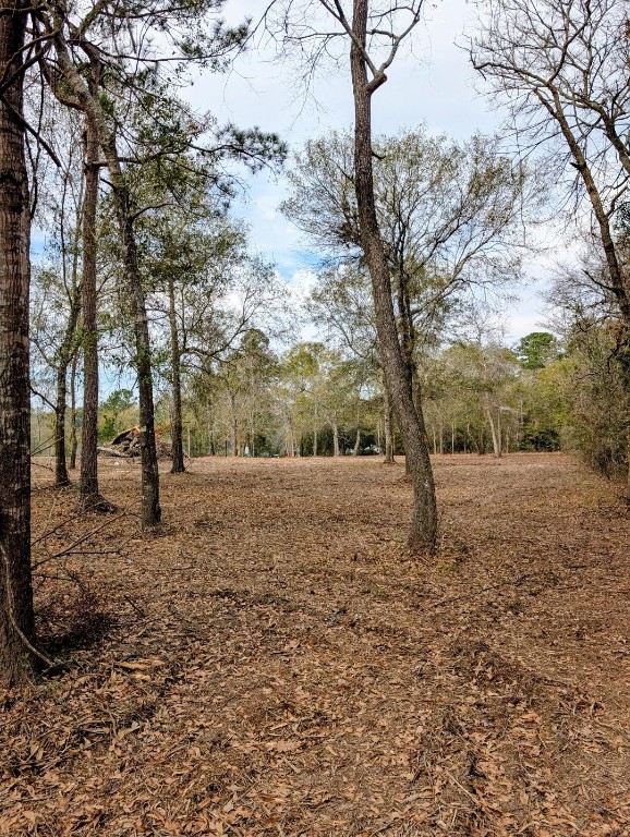 5544 Tall Pine Road Navasota, TX 77868 - Photo 3 of 9 a view of a yard with trees