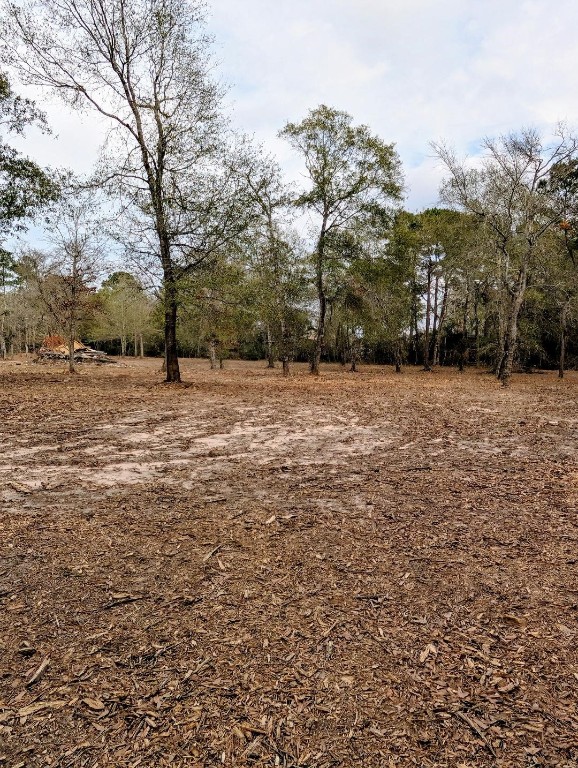 5544 Tall Pine Road Navasota, TX 77868 - Photo 4 of 9 a big yard with trees in the background