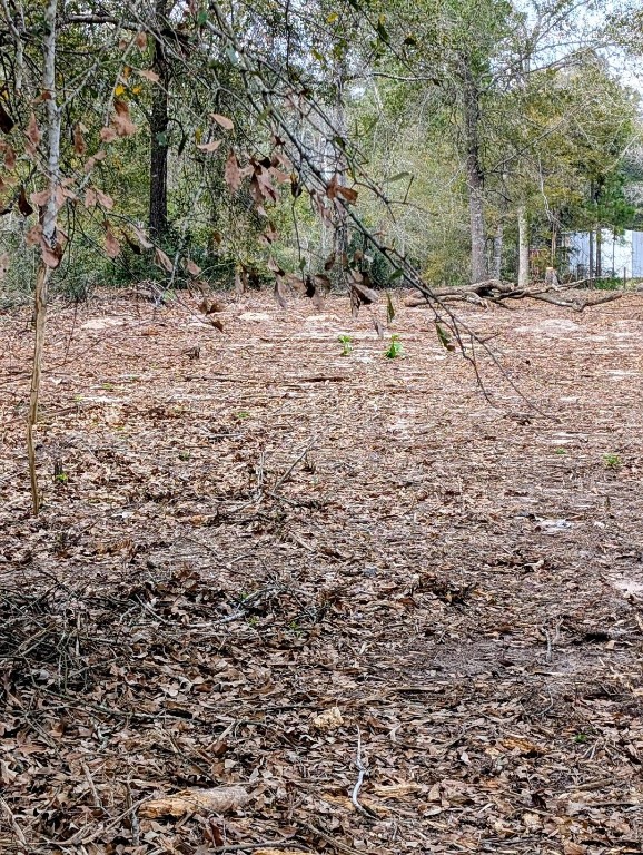 5544 Tall Pine Road Navasota, TX 77868 - Photo 5 of 9 a view of a backyard with large trees