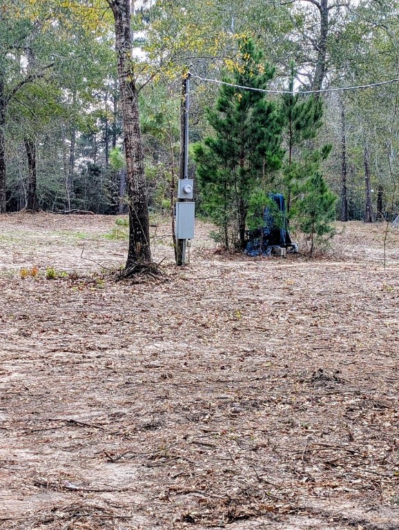 5544 Tall Pine Road Navasota, TX 77868 - Photo 6 of 9 a view of open space with trees