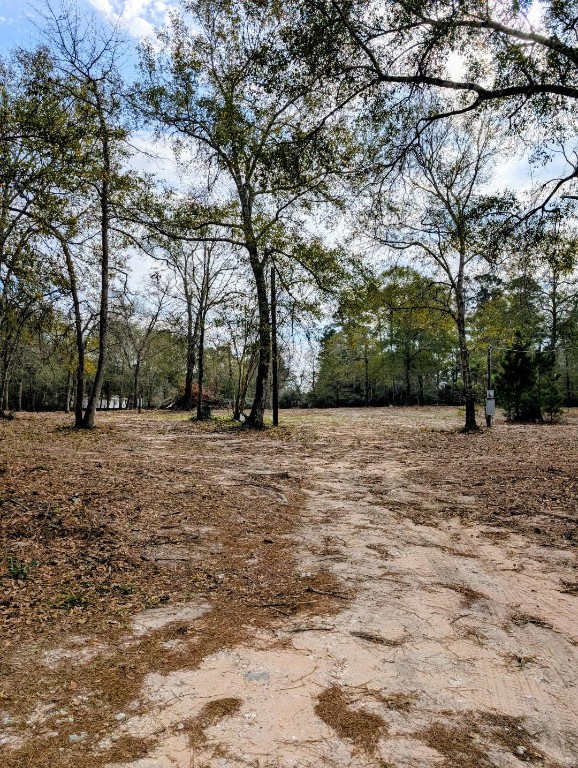 5544 Tall Pine Road Navasota, TX 77868 - Photo 8 of 9 a view of backyard with large trees