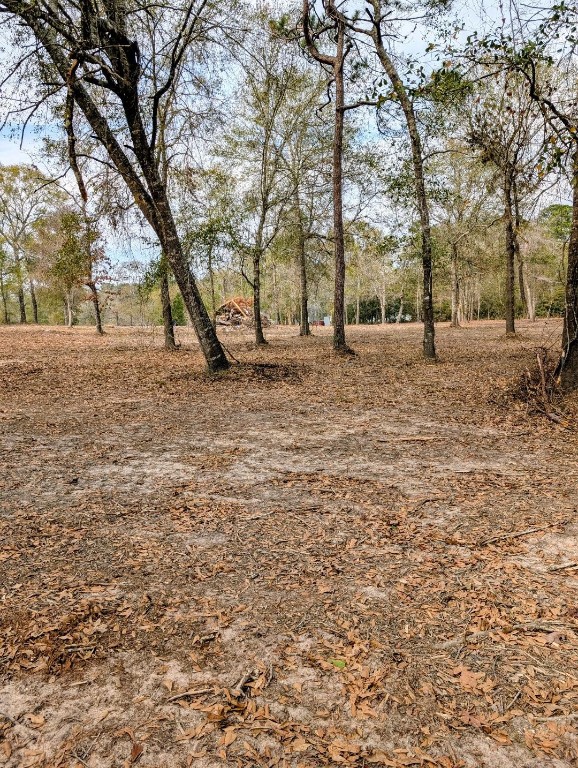5544 Tall Pine Road Navasota, TX 77868 - Photo 9 of 9 a view of outdoor space with deck