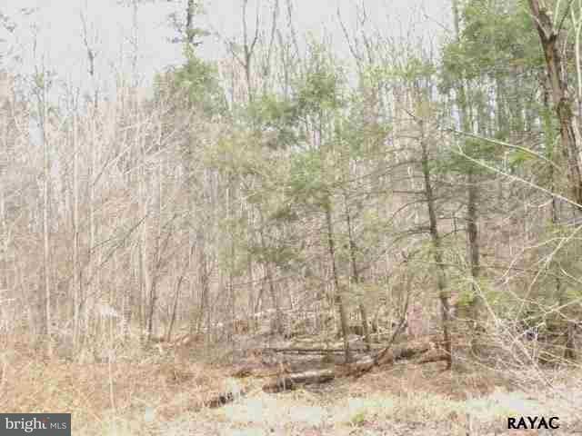 250 Cemetery Road Manchester, PA 17345 - Photo 12 of 17