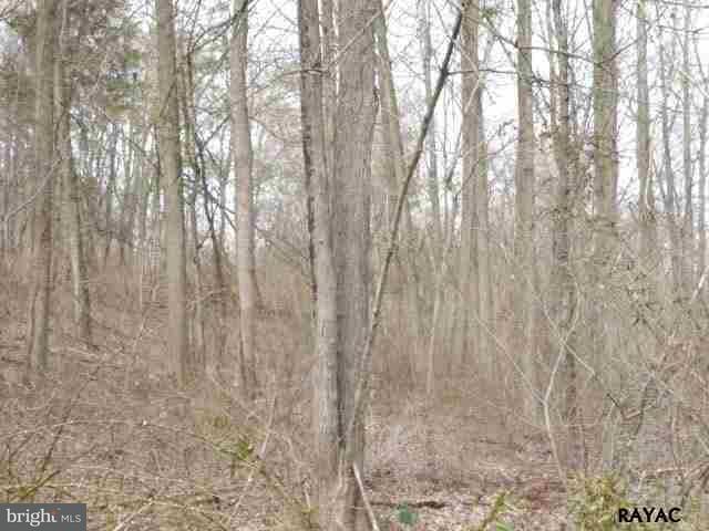 250 Cemetery Road Manchester, PA 17345 - Photo 16 of 17