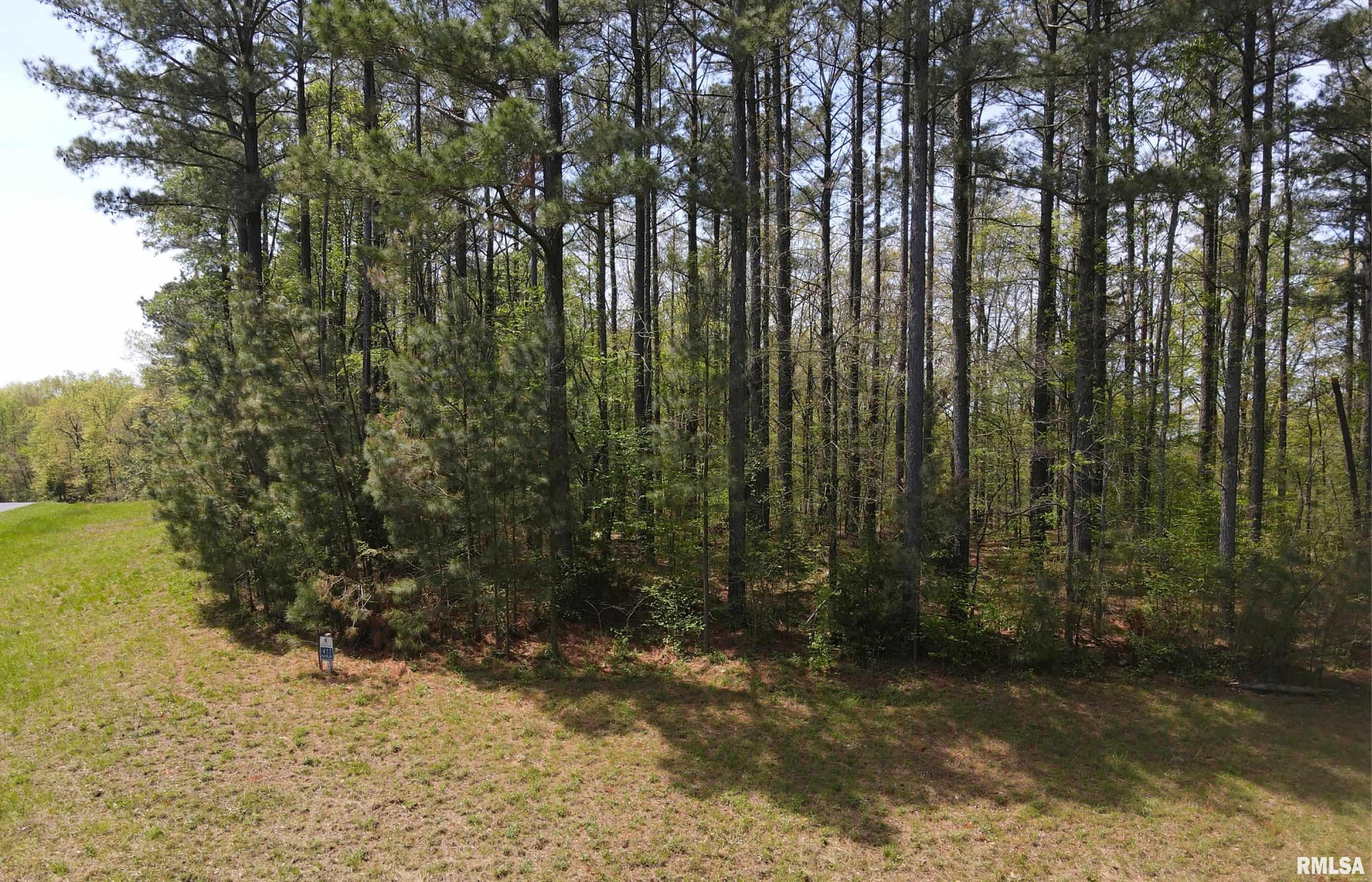 558 Stony Point Road Goreville, IL 62939 - Photo 8 of 10